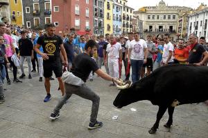 Vaquillas en San Mateo