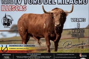 Toro Milagro