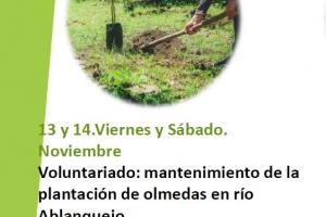 VIVE TU ESPACIO. MANTENIMIENTO DE LA PLANTACION DE LAS OLMEDAS