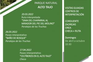 PASEO INTERPRETATIVO Y TALLER PLANTAS MEDICINALES