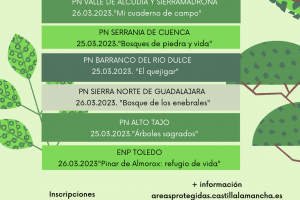 DIA INTERNACIONAL DE LOS BOSQUES