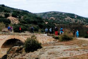 Paseos naturales