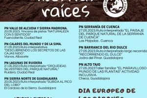 CONSTRUYENDO SOBRE NUESTRAS RAICES