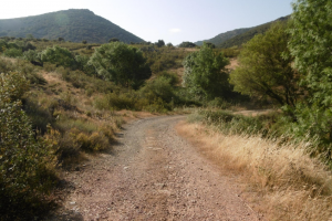 LOS MOLINOS DEL RIO FRIO