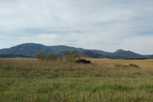 CAÑO FUENTONA Y PRADERA DEL RINCON