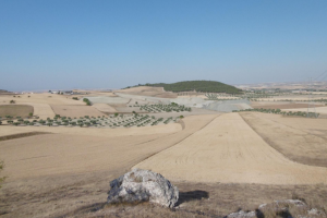 CERROS DE ESQUIVIAS