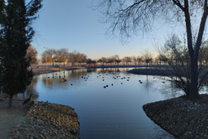 PASEO DE LOS MARQUESES DE UGENA