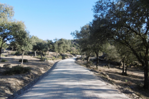 CANTOS Y PUENTE DE LOS PILONES