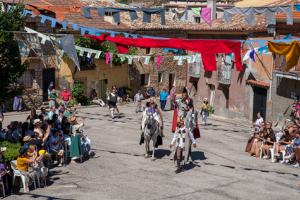 FIESTA DE LA MESTA GUALDA 2025
